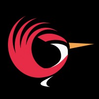 Pitico Studio Design logo - Similar company to Vertice Tel