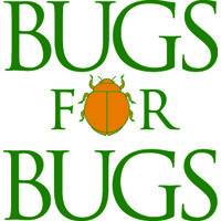 Bugs for Bugs logo - Similar company to Parabug