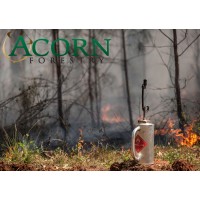 Acorn Forestry logo - Similar company to Hydrex Environmental, Llc