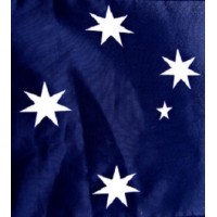 Diaspora Legal logo - Similar company to Kangaroo Visa