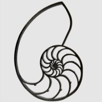 Wity AI logo - Similar company to Slimtemplate