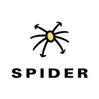 SPIDER Netzwerk Consulting GmbH logo - Similar company to Tip Technik Und Informatik Partner