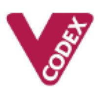 Vcodex logo - Similar company to Vcode Infotech