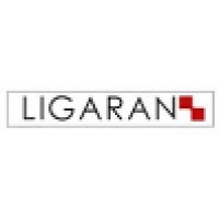 LIGARAN PUBLISHING and SERVICES logo - Similar company to Stéphane Amiot Conseil