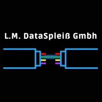 L.M. DataSpleiß GmbH logo - Similar company to Cable Conx Gmbh