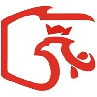 Biegły Kosicki logo - Similar company to Martinus Polska