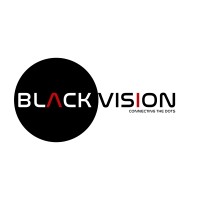 Black Vision Technologies logo - Similar company to N-Kiits