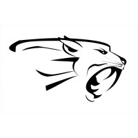 Las Leonas Consulting logo - Similar company to Nicole Smartt
