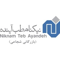NIKNAMTEB logo - Similar company to Futuremirates