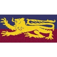 South Yarra Lions Football Netball Club logo - Similar company to Wise Bohemian River Dmc