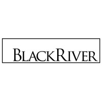 Black River Growth Partners logo - Similar company to Aqc Traffic Control