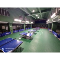 Arsenal tt academy logo - Similar company to Golden Shuttle