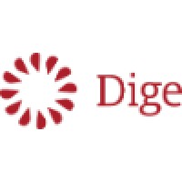 Dige - Mobile and Web Software Development House logo - Similar company to Algory