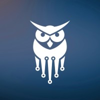Cyber Wise Consulting logo - Similar company to Bgraphic.Net