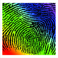 Holo Image Pvt. Ltd.