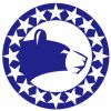 Masfra Pay logo - Similar company to Legatum Do Brasil
