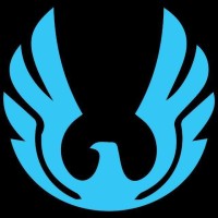 Falcon Traders logo - Similar company to Falcon Trader Institucional