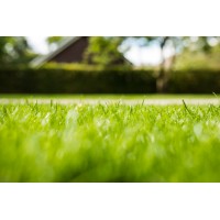 Verspeek Graszoden & Tuinwerken