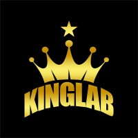 PT KINGLAB INDONESIA logo - Similar company to Setis Systems Bv