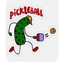 Pickle Ball logo - Similar company to Js Learning