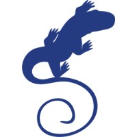 Interesting Lizard logo - Similar company to Stackup Netsol Pvt Ltd