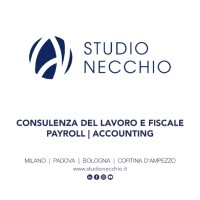 Studio Necchio® logo - Similar company to Studio Cassone