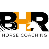 B.H.R Horse-Coaching logo - Similar company to 3As
