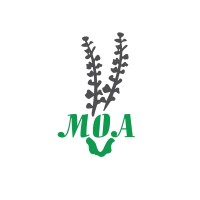 MOA Trading Co., Ltd logo - Similar company to Waterfront Trading Co., Ltd.