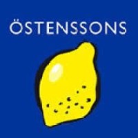 ÖSTENSSONS LIVS AB logo - Similar company to Ra Energy Ab