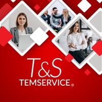 T&S TEMSERVICE logo - Similar company to Quality Telecom Ltd