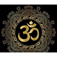Sanatani Indian logo - Similar company to Uc Berkeley Singapore Student Association (Ssa)
