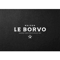 LE BORVO logo - Similar company to Borvo