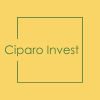 Ciparo Invest logo - Similar company to Bfr Expertise & Solutions