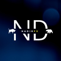 NadirFx logo - Similar company to Cmo Srl Engineering & Automation