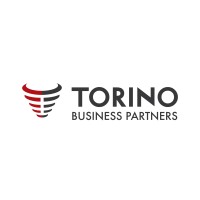 TORINO BUSINESS PARTNERS logo - Similar company to Money Brokers Brasil