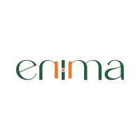 Enimavision logo - Similar company to Lysi