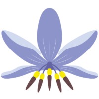 Biyani House  - Revesby Womens Shelter logo - Similar company to Organisations That Matter