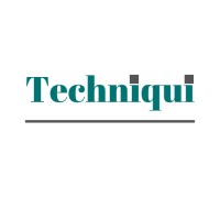 Techniqui Global Services logo - Similar company to Msoft It Solutions