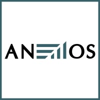 Anemos | Consulenza e Formazione Controllo di Gestione, Budget e  Business Plan logo - Similar company to Psq Consulting