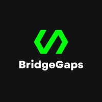 BridgeGaps logo - Similar company to Bridge Gaps