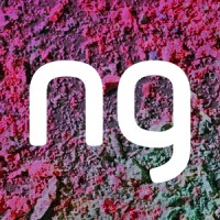 neongrey logo - Similar company to Arkiform