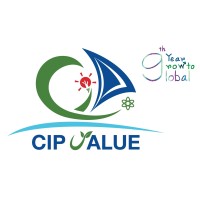 CIP VALUE logo - Similar company to Interloop - Solutions & Consultancy
