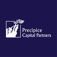 Precipice Capital Partners logo - Similar company to Precision Neuroscopics