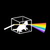 Wits Optics Student Chapter logo - Similar company to Youngoptics Inc.