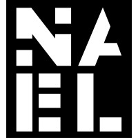 Nael Corporation logo - Similar company to Codenito