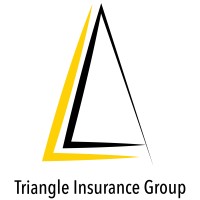 Triangle Insurance Group logo - Similar company to Workspace