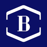 BELUSA TECHNOLOGIES logo - Similar company to Mescon Agency