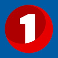 EiendomsMegler 1 Østlandet logo - Similar company to Eiendomsmegler 1 Lillehammer Og Gudbrandsdal