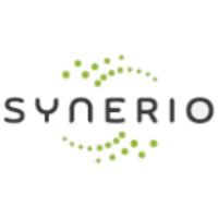 Synerio Consulting logo - Similar company to Anantara Resort And Spa