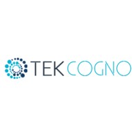 TekCogno Solutions Inc logo - Similar company to Corrections Software Solutions